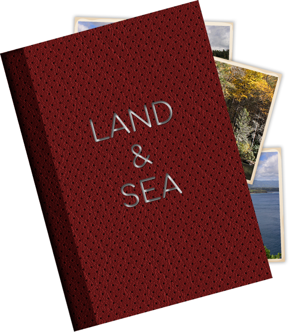 Land and Sea Images